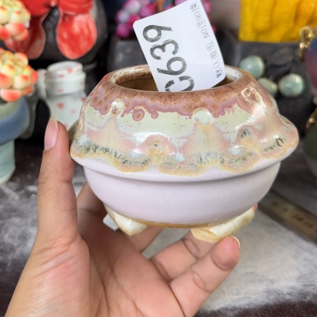 重庆小燕子欢迎那家639