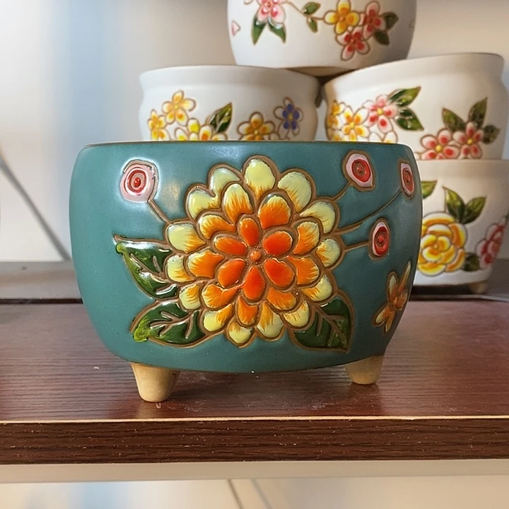 韩式多肉植物花盆