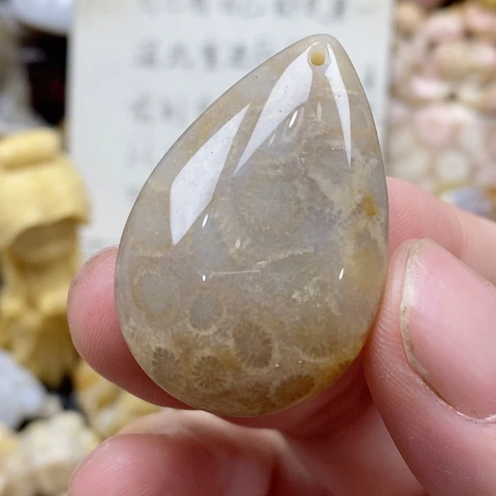 颈饰未镶嵌硅化珊瑚（珊瑚玉）小