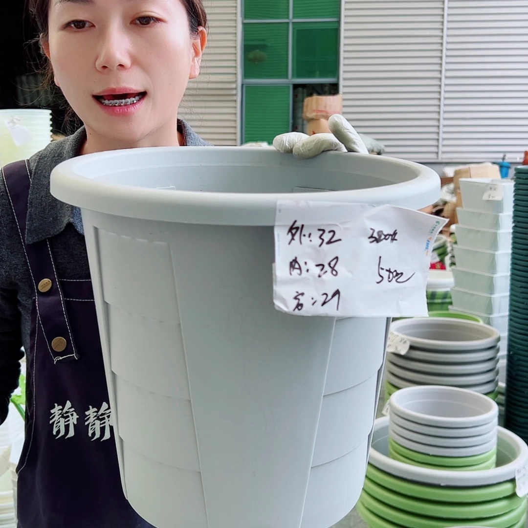 玫瑰盆320#灰白5个无托