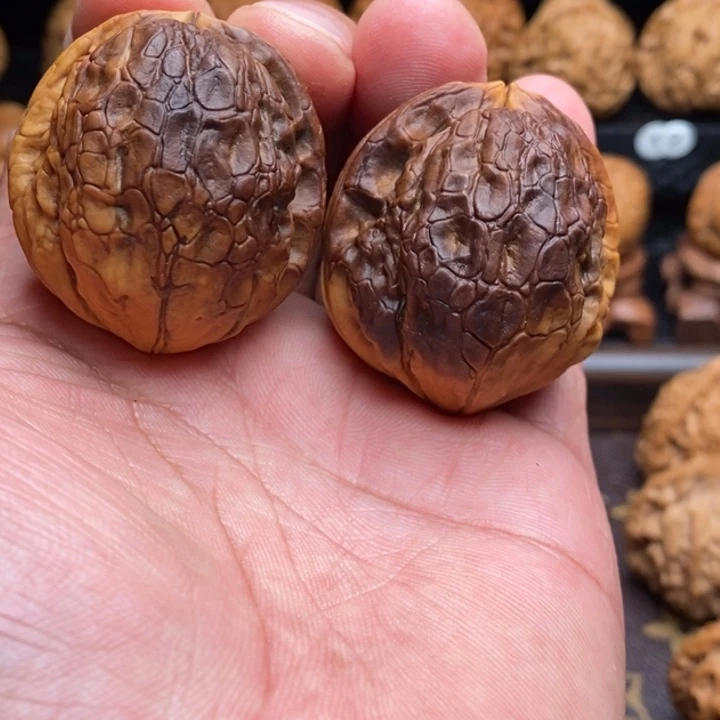 把件文玩核桃1金龟玉甲