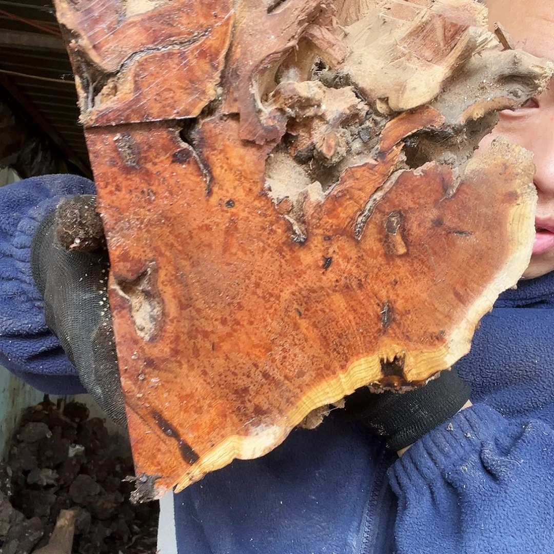 R***Y无花朵000000000000207