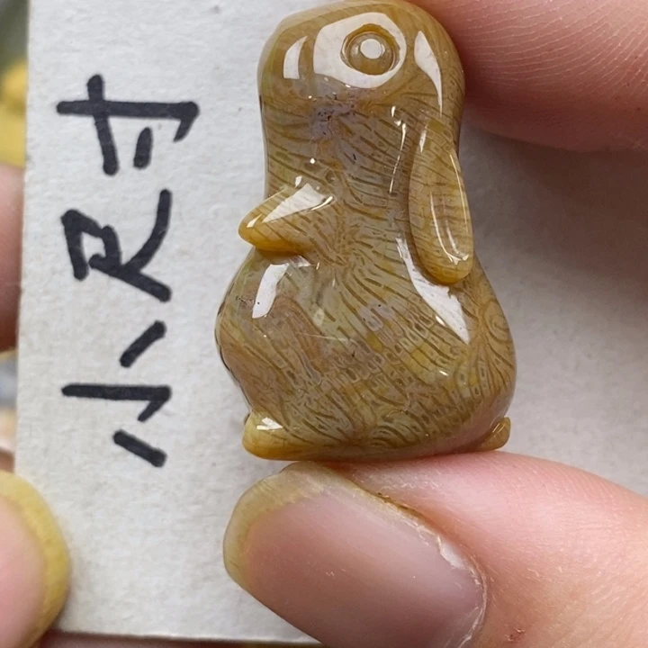 硅化珊瑚（珊瑚玉）未镶嵌颈饰