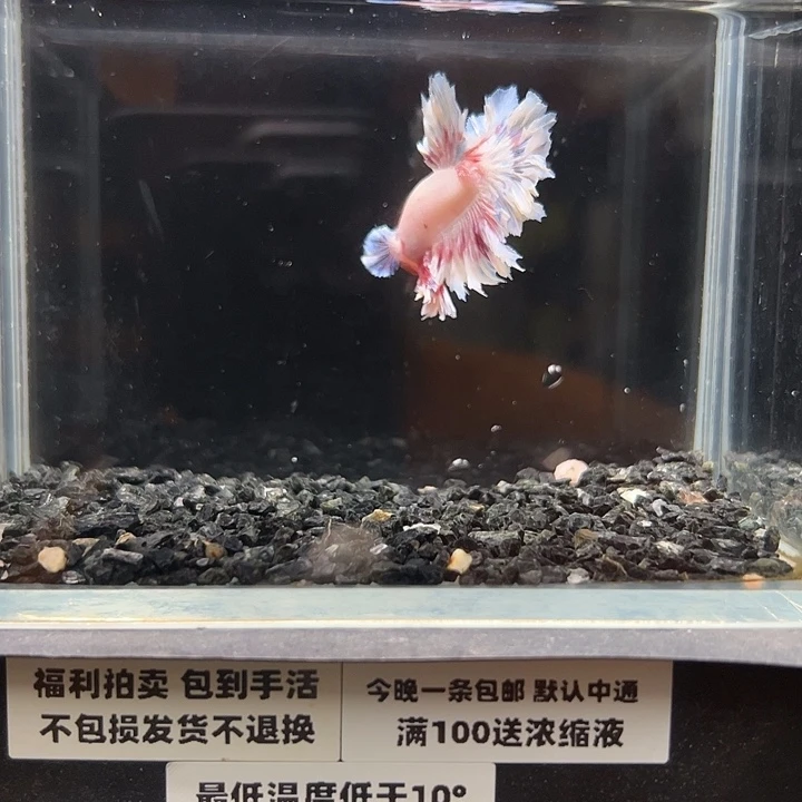 斗鱼跑单拉黑24日24