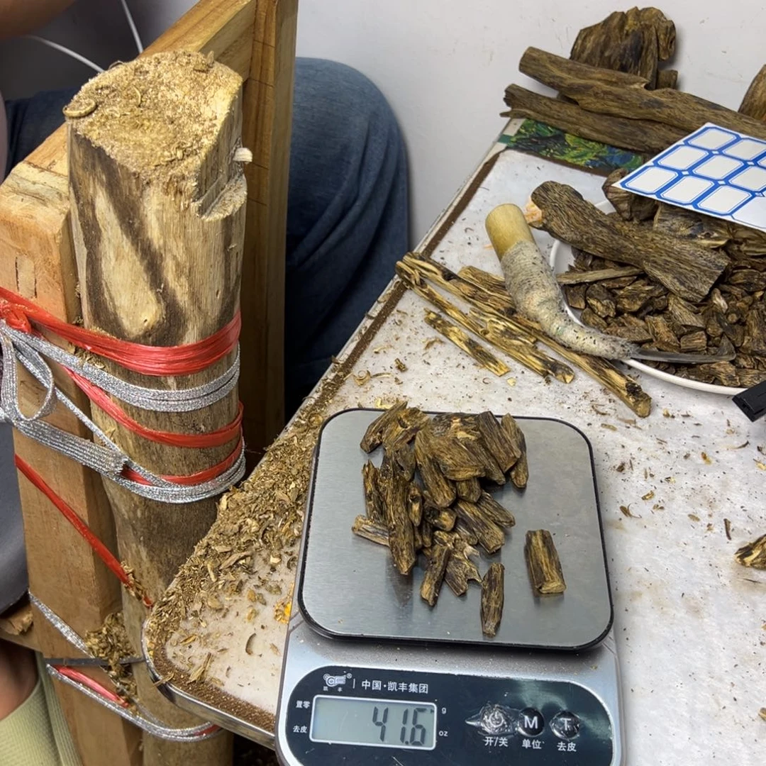 线香奇楠虫漏香40克