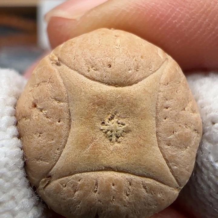 凤眼菩提吊坠尼泊尔25年新籽，福利19➕