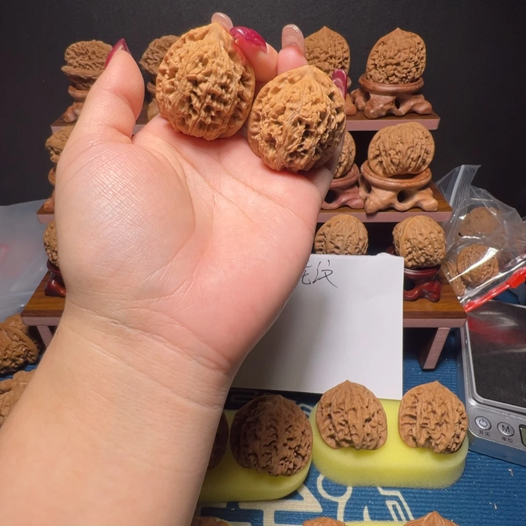 木质全品无修水龙