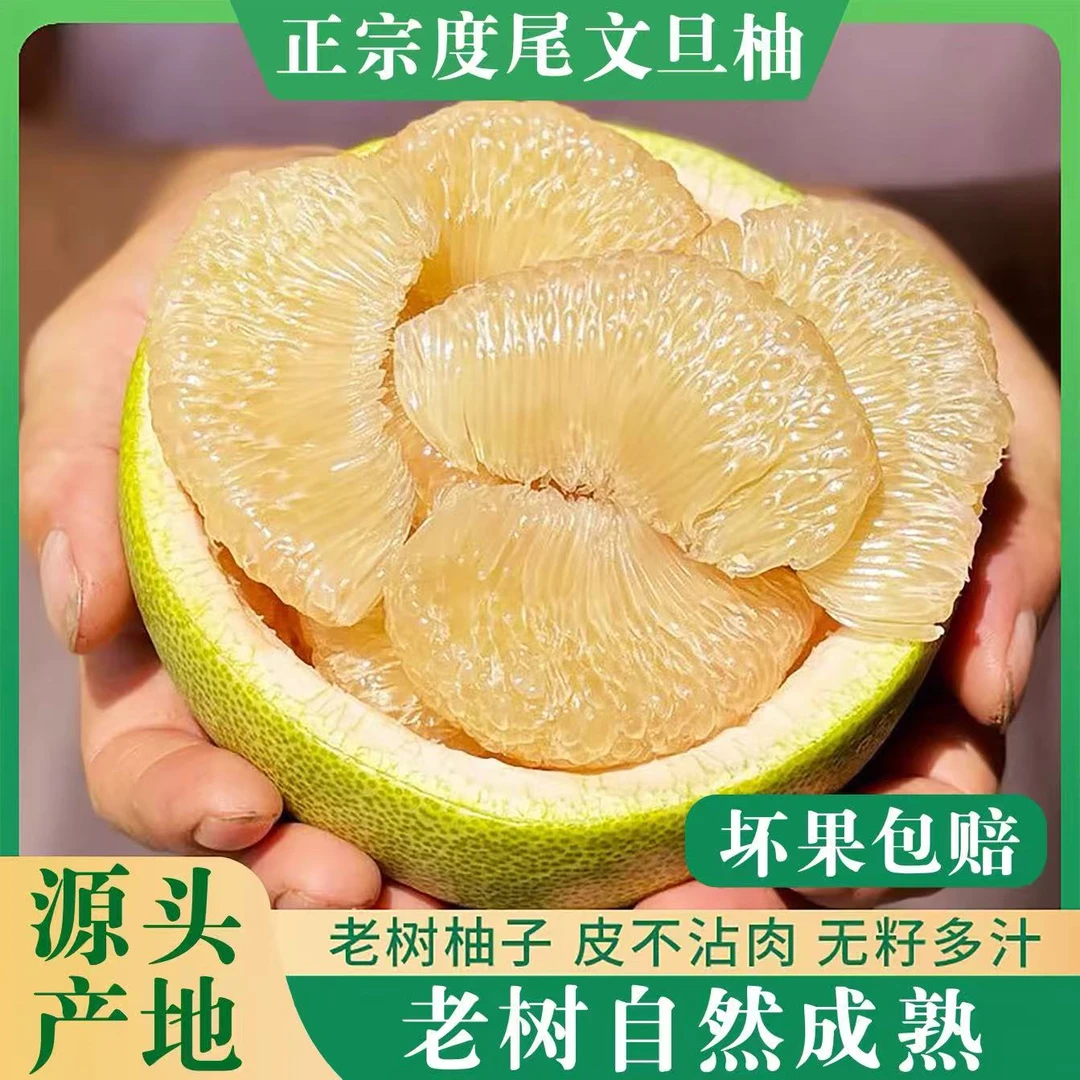 福建仙游度尾红心文旦柚酸甜多汁新鲜应季水果1个尝鲜