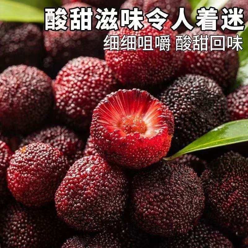 贵州高山小杨梅新鲜现摘酸甜可口孕妇应季水果冷链发货