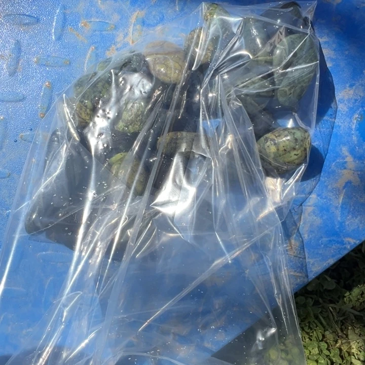 芳****长石玉未镶嵌藏玉药王石