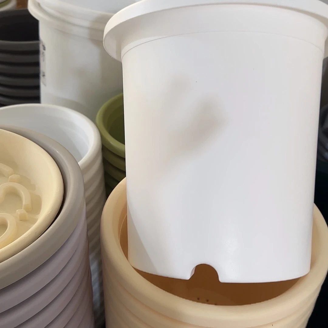 微瑕7号无托6个，白