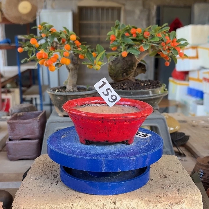 花9.5x3.5////////159////