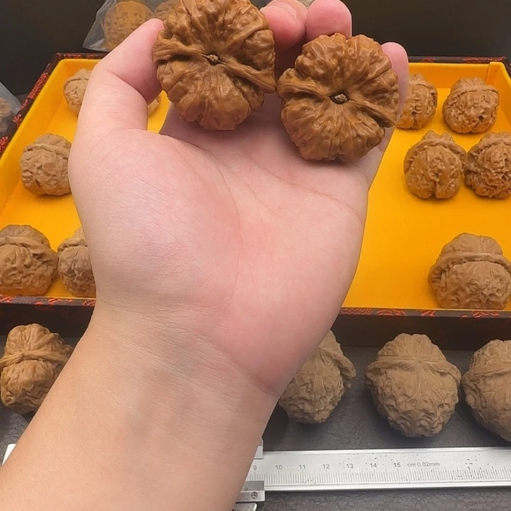 大叶紫檀（黑酸枝木类）