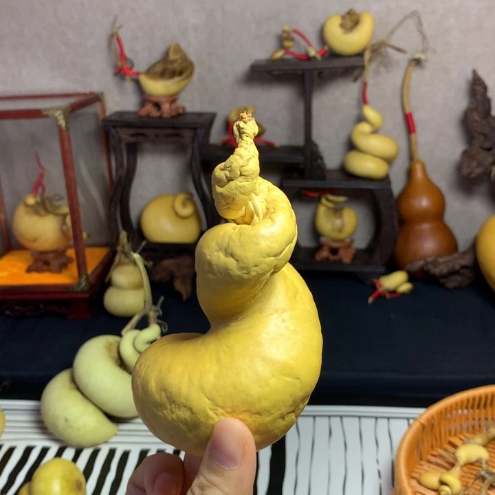 *****葫芦葫芦真的好好看