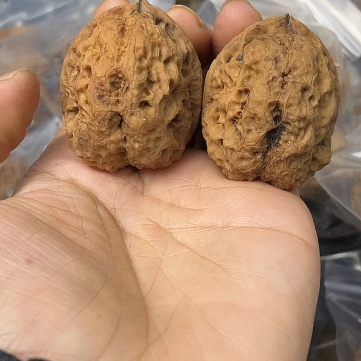 文玩核桃把件云南铁核桃基地92