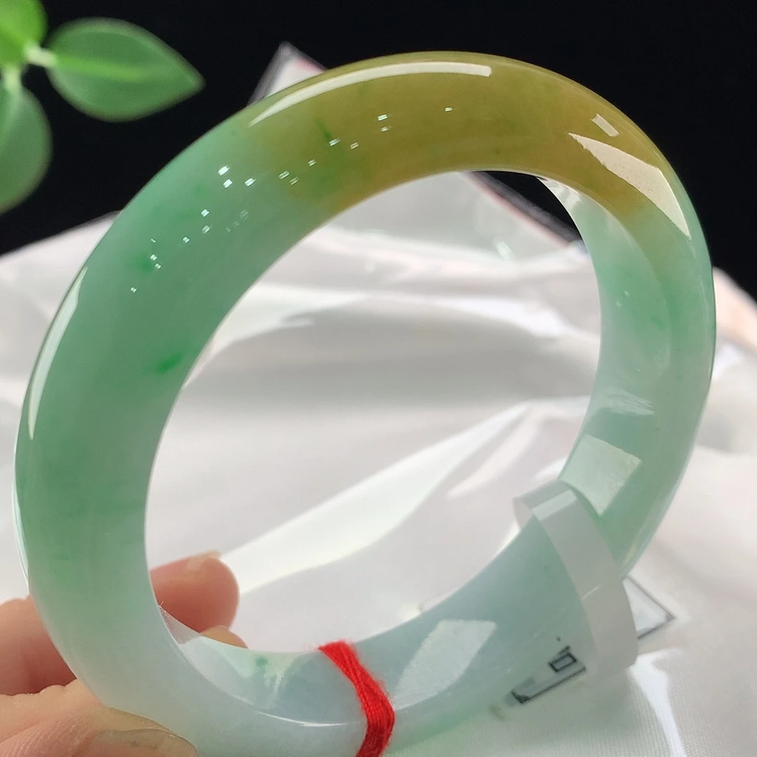 未镶嵌手镯翡翠0299