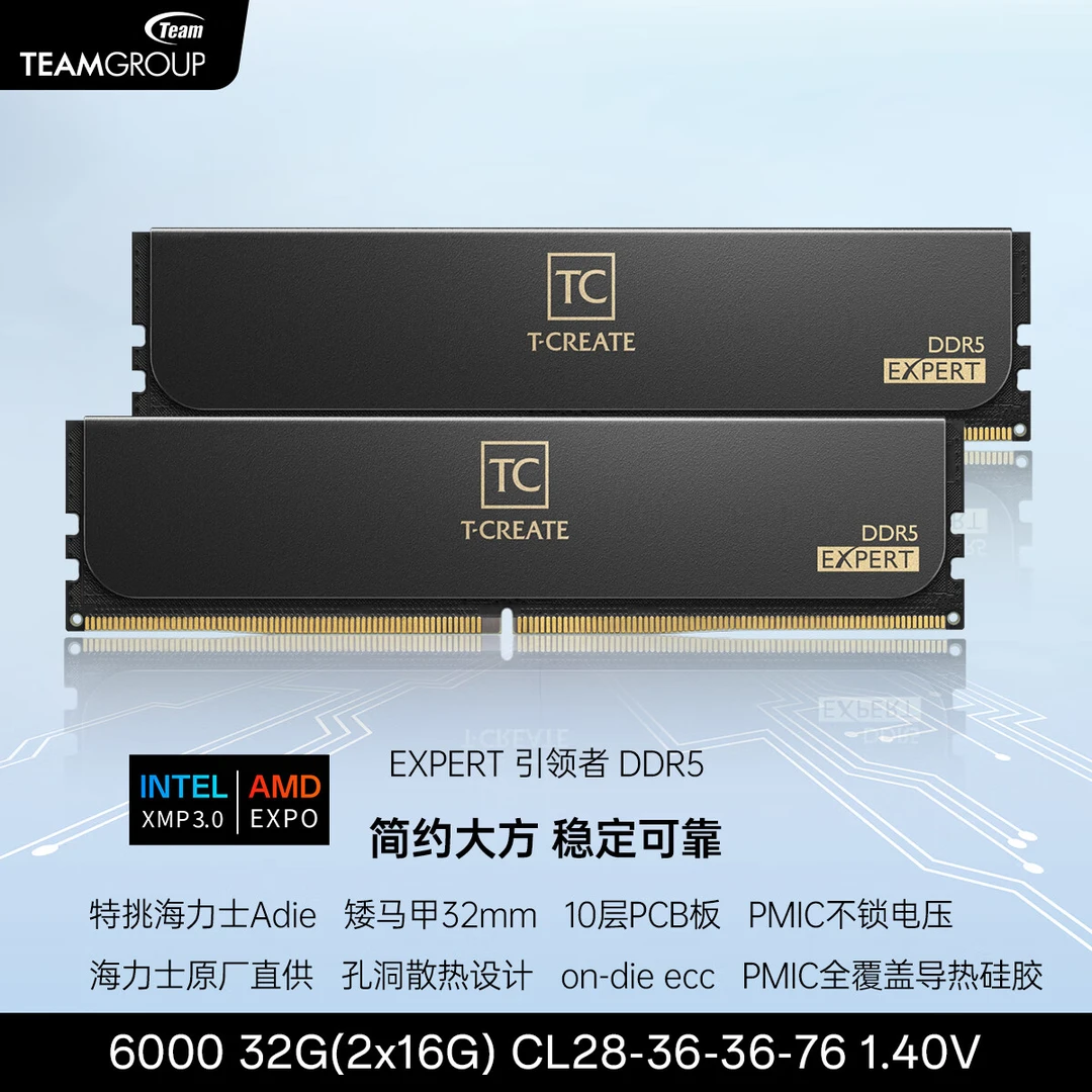 十铨引领者6000 32G 16*2 C28 特挑AdieD5内存条海力士矮马甲条黑