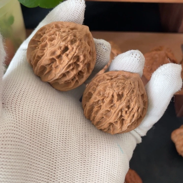 木秦岭核桃的狮子头