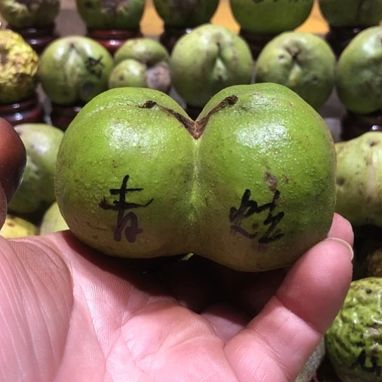 吊坠桃核核桃核桃