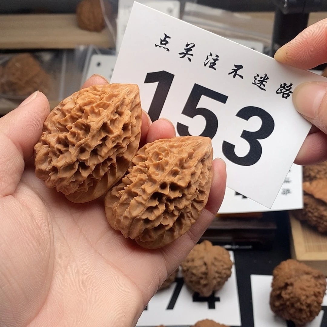 核桃37招财鼠 153