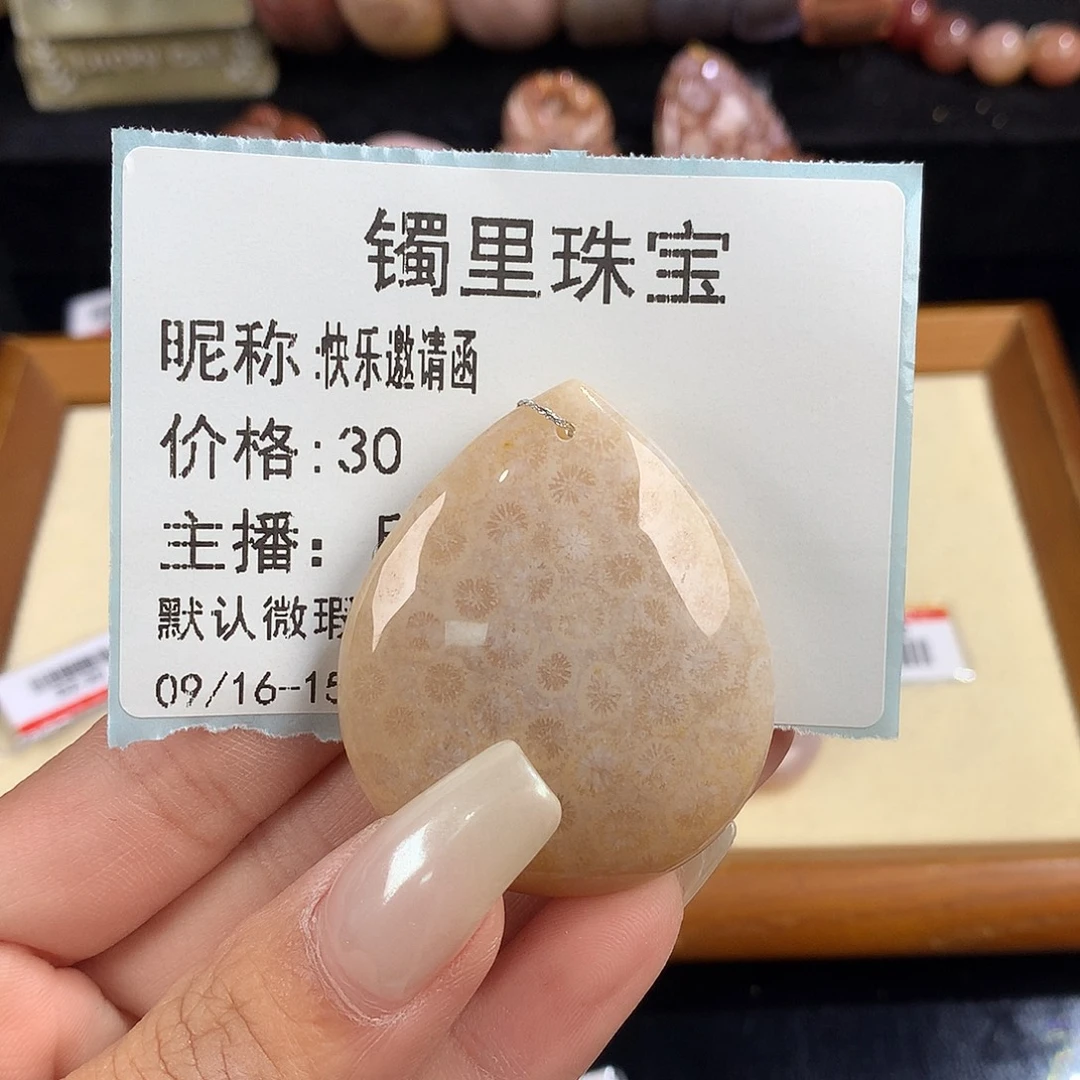 快***函吊坠(赠链)未镶嵌硅化珊瑚（珊瑚玉）