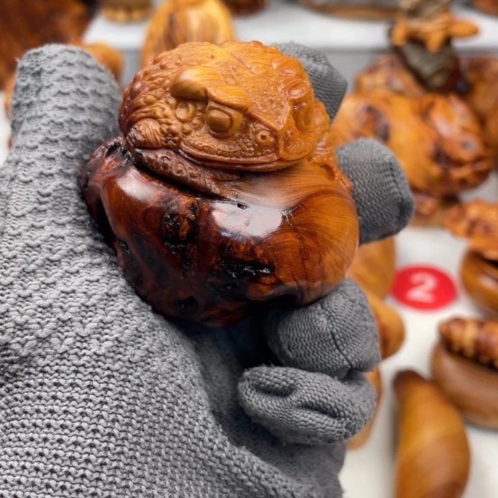 木太行变异瘤呱呱鉴赏期48小时