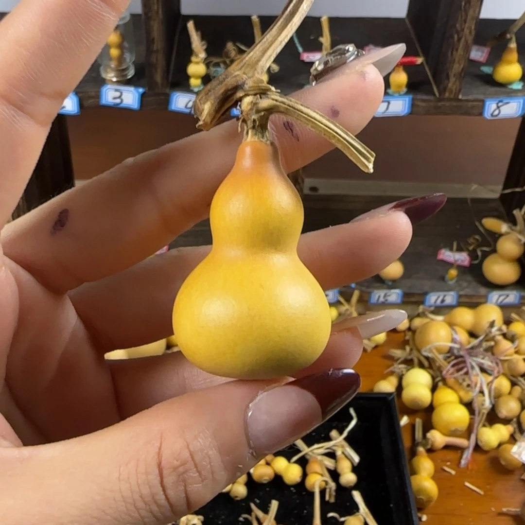 天然草里金小葫芦