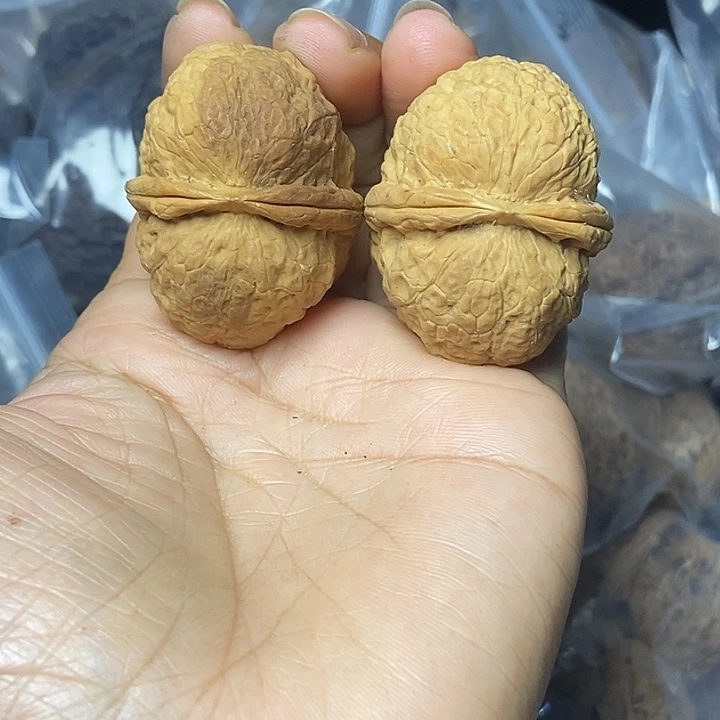 文玩核桃把件云南铁核桃基地33