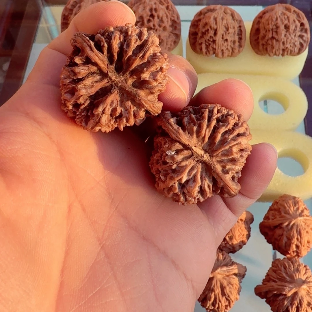 神***霸核桃文玩核桃满天星36