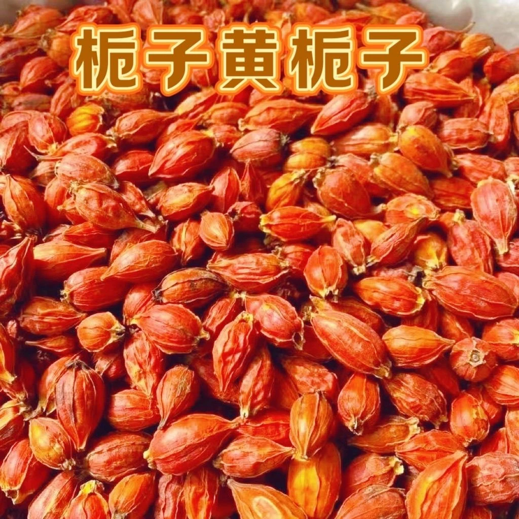 【栀子】道地 本草江西黄栀子