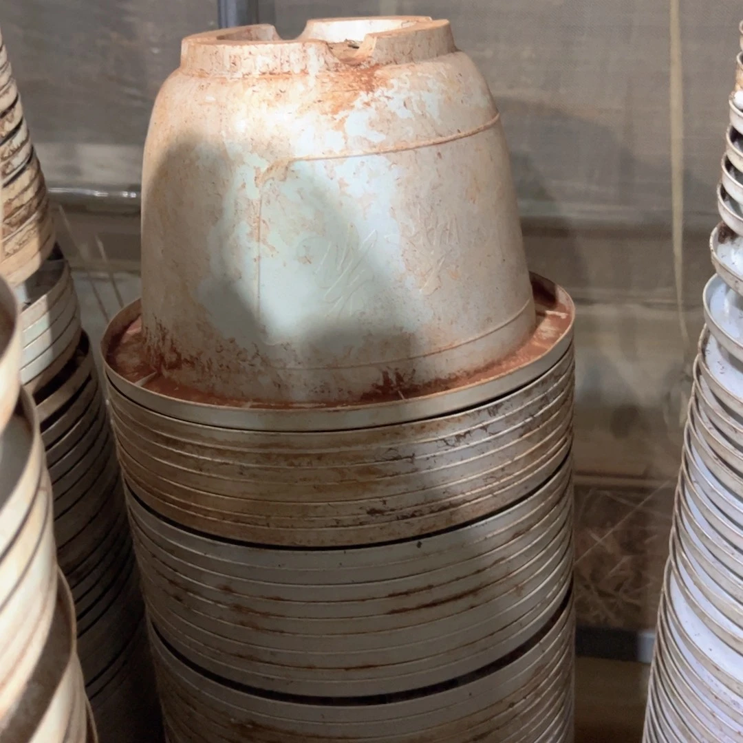 富贵花开盆26口径17.5高 5个