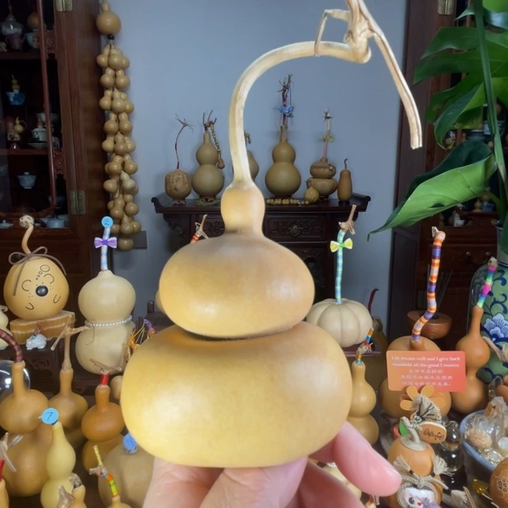 钱袋子型葫芦满籽厚皮