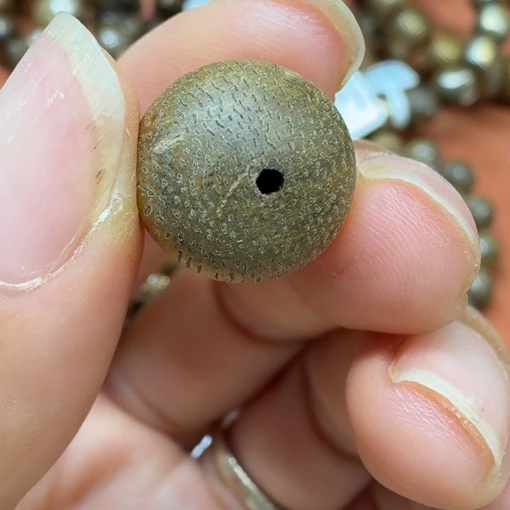 大叶紫檀（黑酸枝木类）