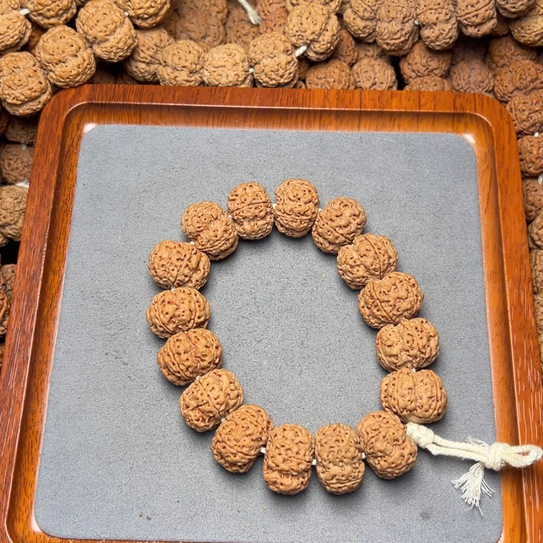 13号尼泊尔大金刚23满肉梅花双龙