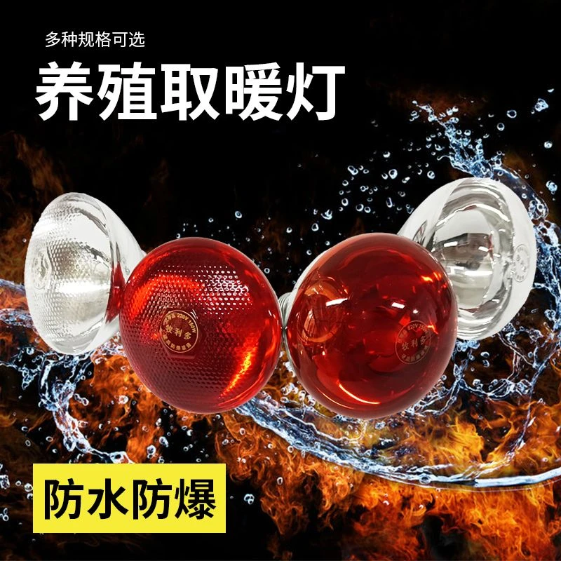 防水防爆2秒速热养殖场保温灯仔猪小鸡养殖场取暖灯养殖场专用