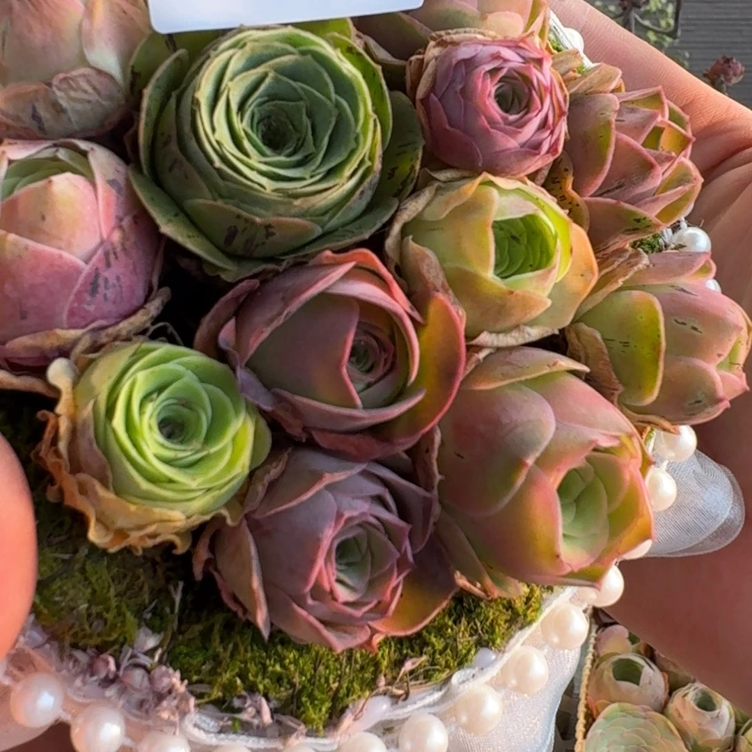 木**6A663 苔藓花篮玫瑰组合