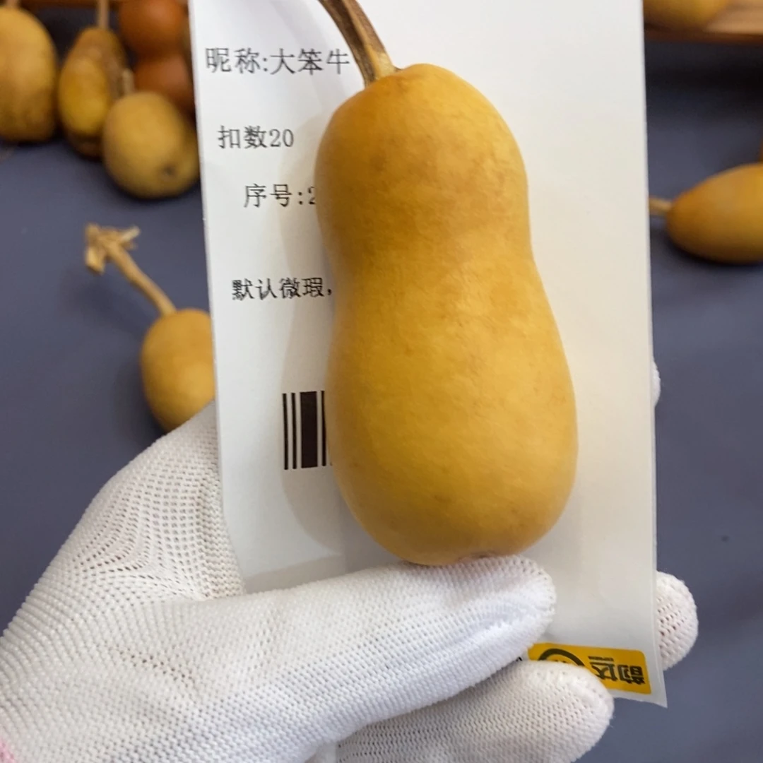 大*牛哈哈哈哈哈哈哈哈哈