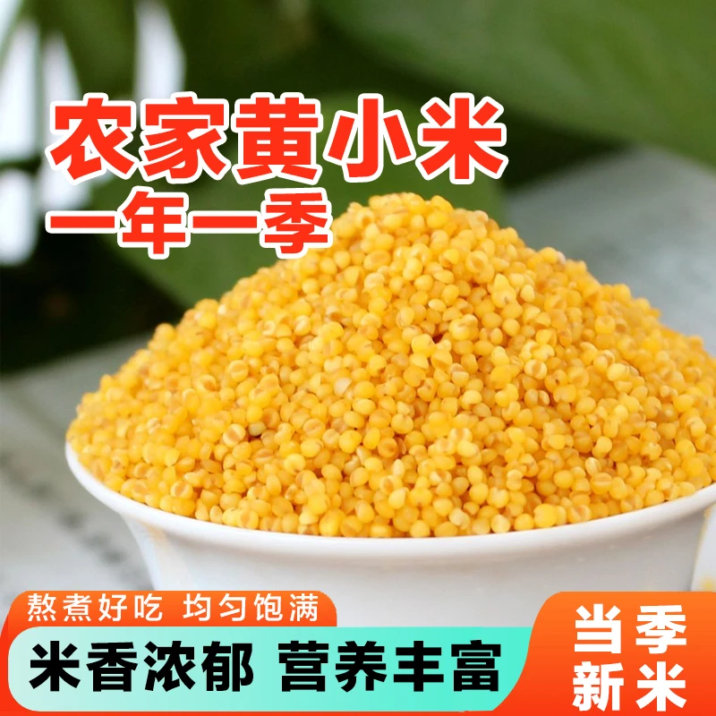 【到手五斤】山西黄小米新货米油醇厚农家熬粥色泽金黄