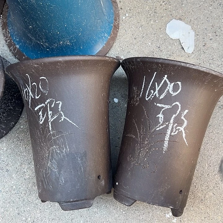 周三周四自始至终周三周四