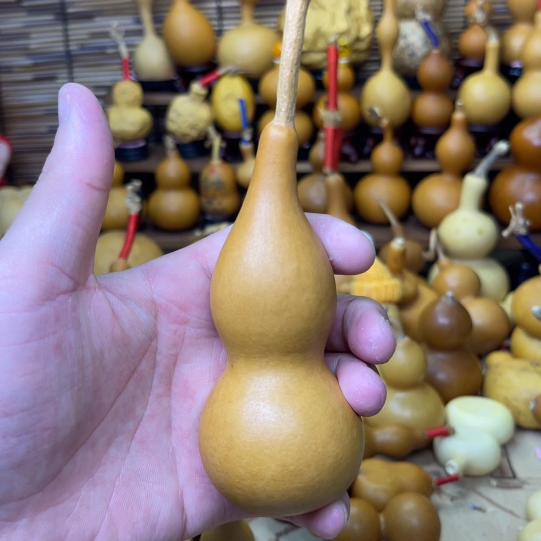 柳叶腰本捻厚皮响籽20