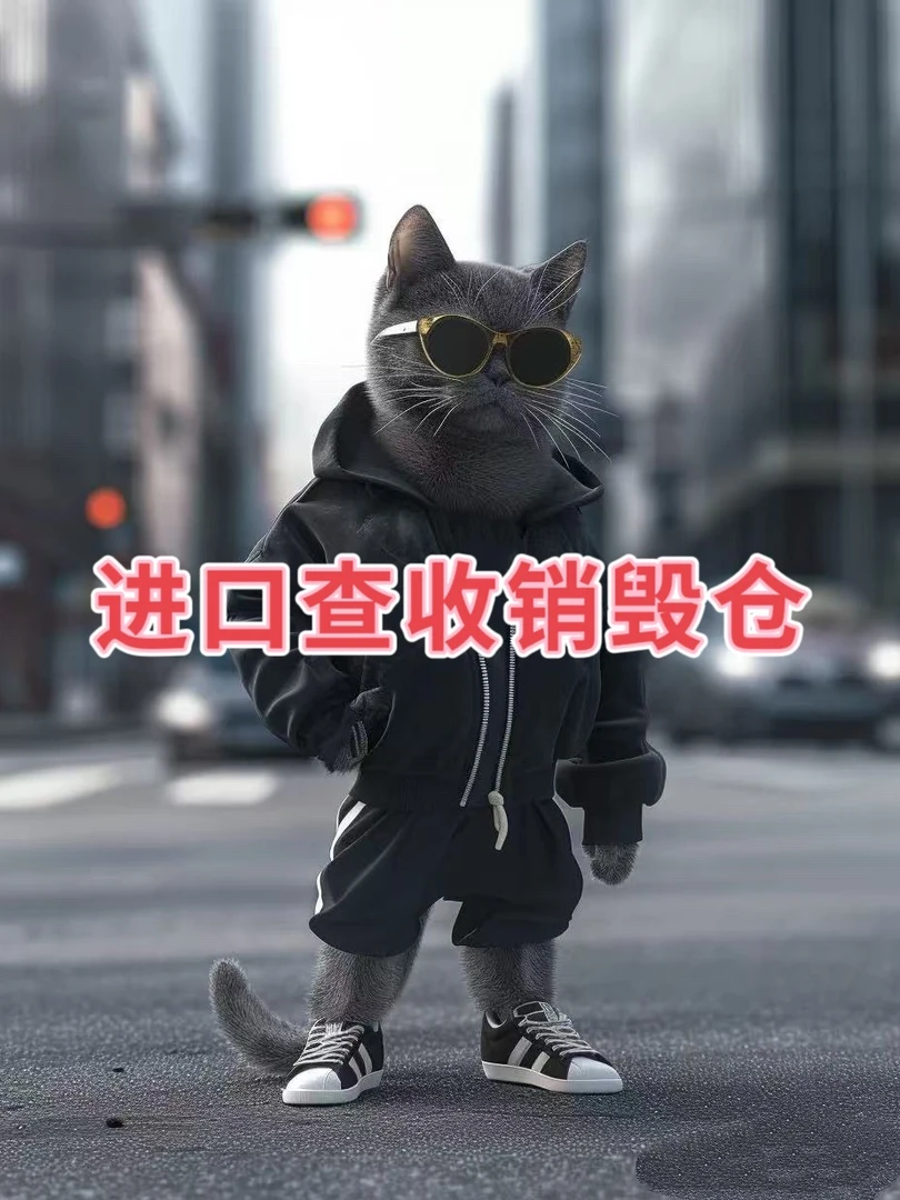 【32号链接】-C165-新款上新男女同款潮流百搭休闲长裤【仓】