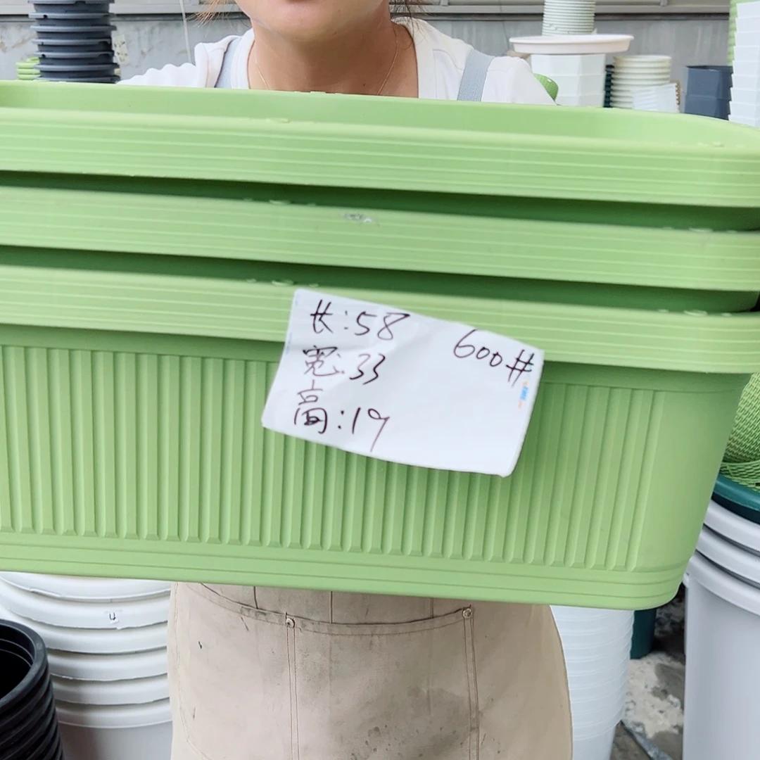 菜盆600#果绿色3个无托