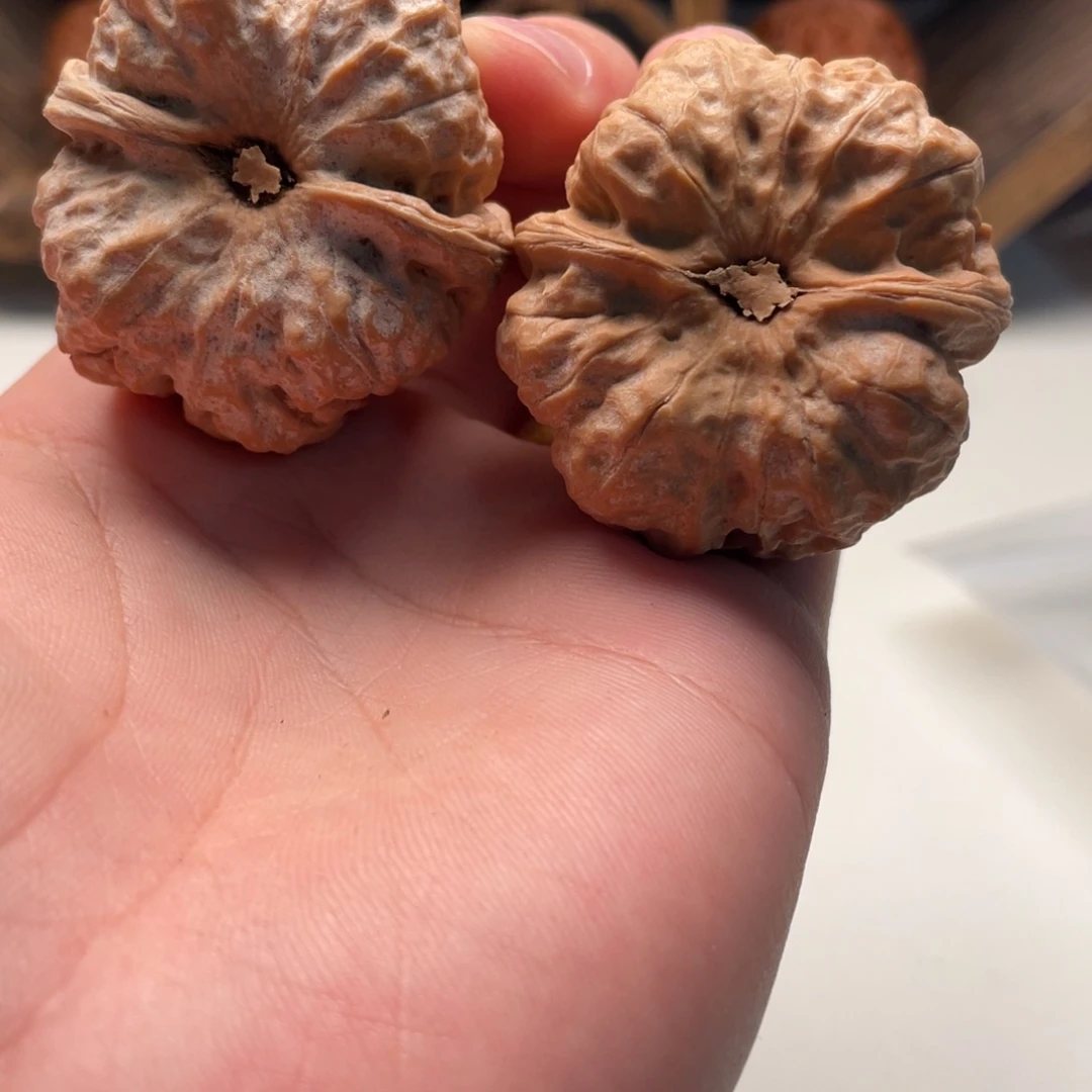 喝***.大叶紫檀（黑酸枝木类）蛤蟆头文玩C23