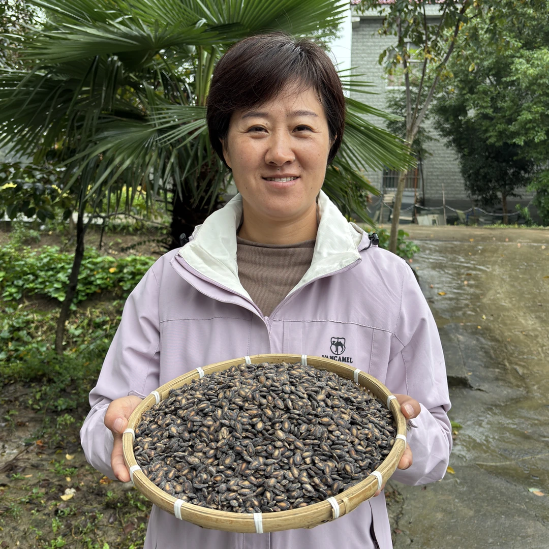 群姐老家笨瓜子咸香味精选高品质小粒香瓜子 （净重无干燥剂）