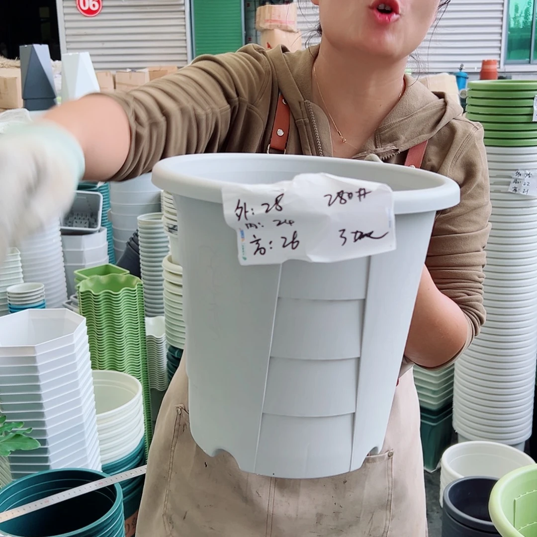 玫瑰280#灰白色5个无托