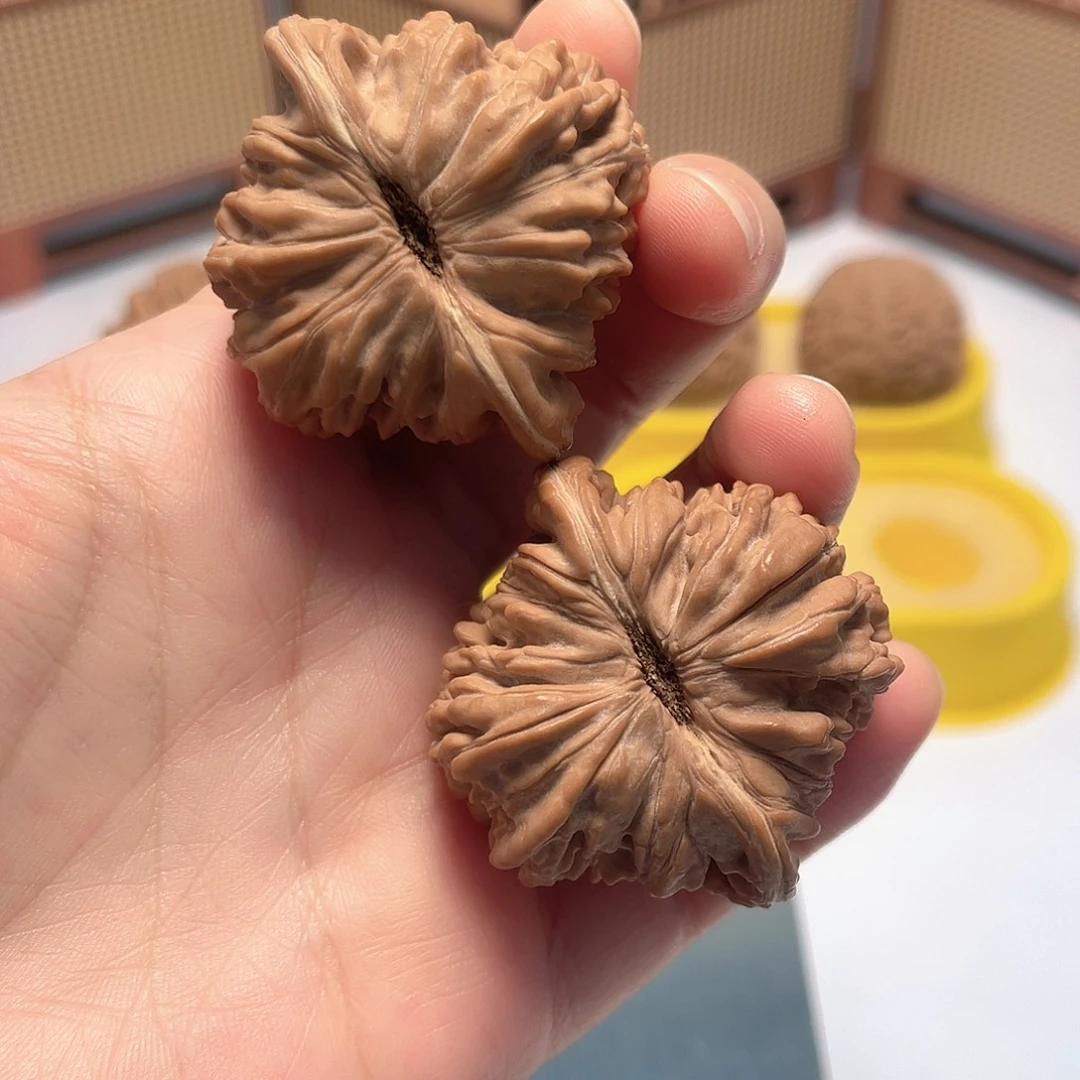 核桃45全品四座楼