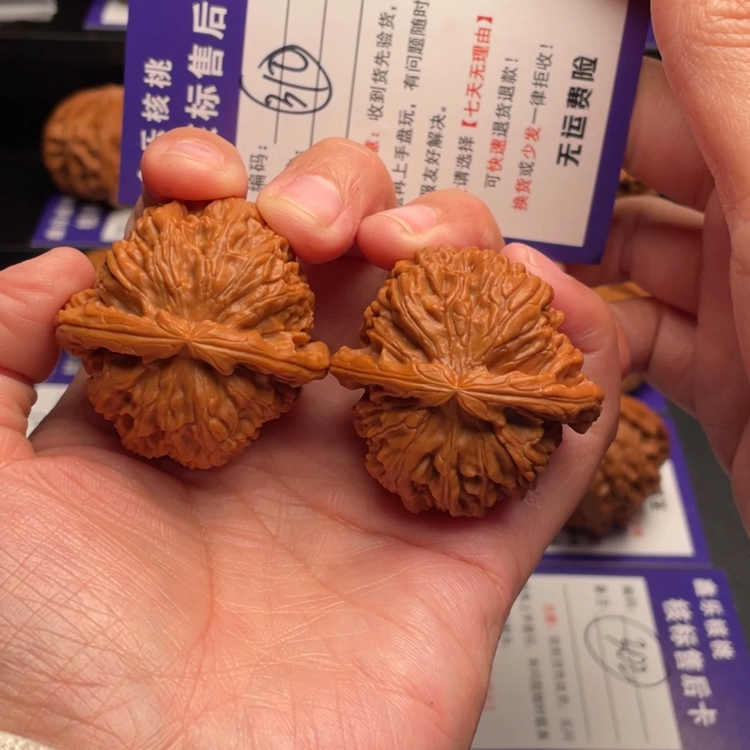 把件文玩核桃白狮子41