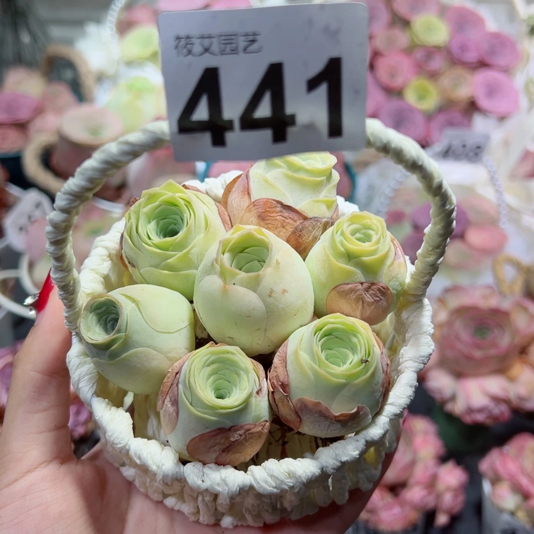 441一篮黄玫瑰组合。