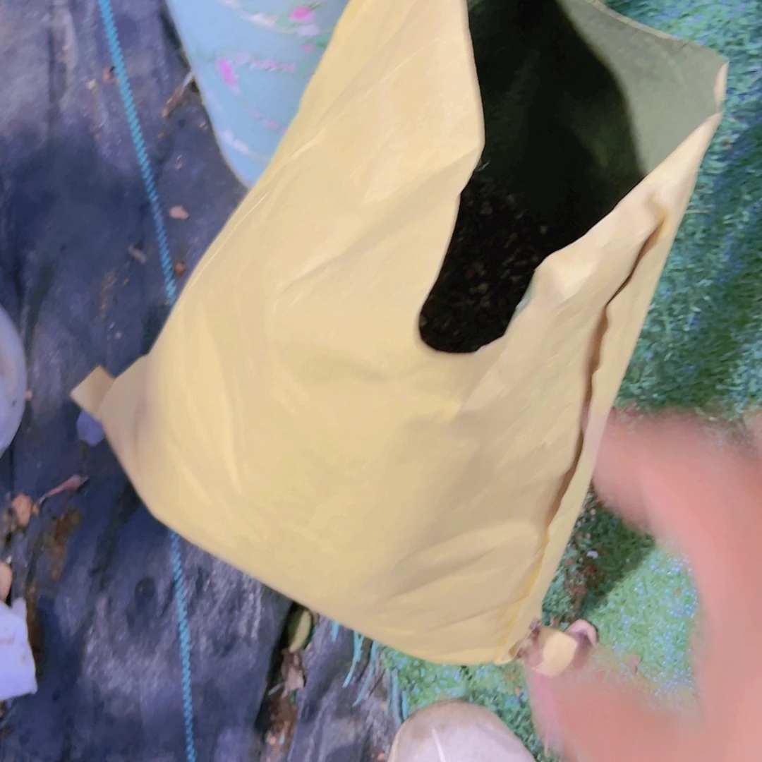 【闪购商品】营养九尾狐法师多肉18.8