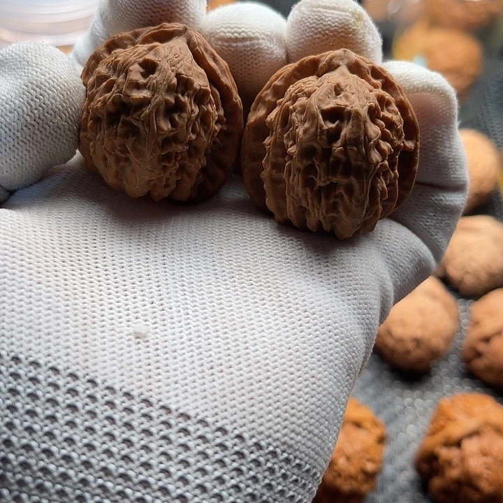 坏***头把件桃核特价核桃